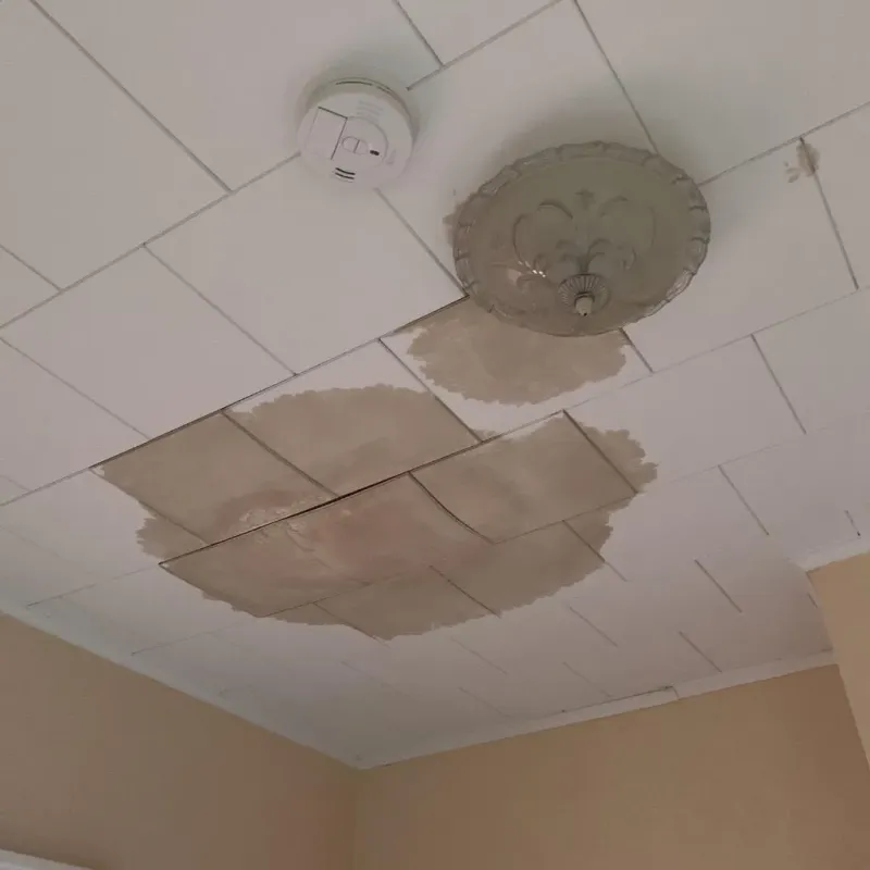 Ceiling Water Damage Repair in Cedar Hill, MO